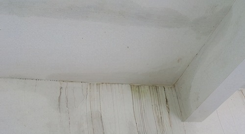 蔡甸老旧屋面漏雨用什么防水材料好？